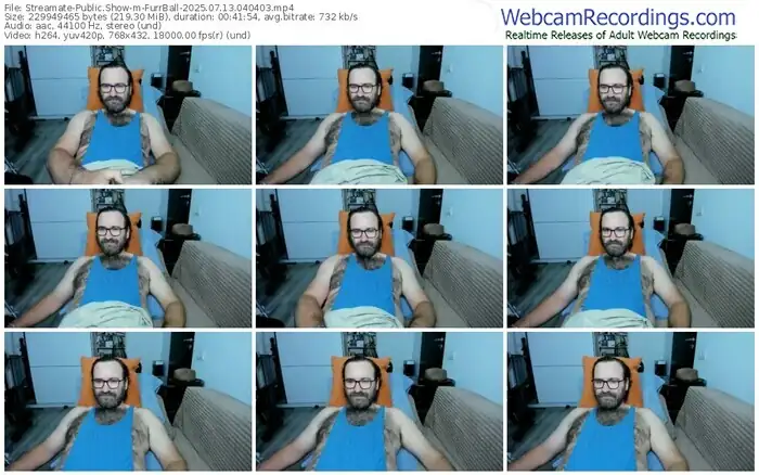 2025/07/13/streamate-furrball-04-04-03