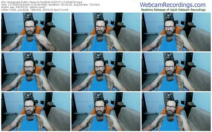 2025/07/13/streamate-furrball-05-44-30