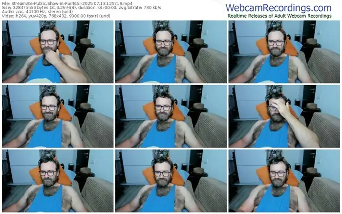 2025/07/13/streamate-furrball-12-57-19