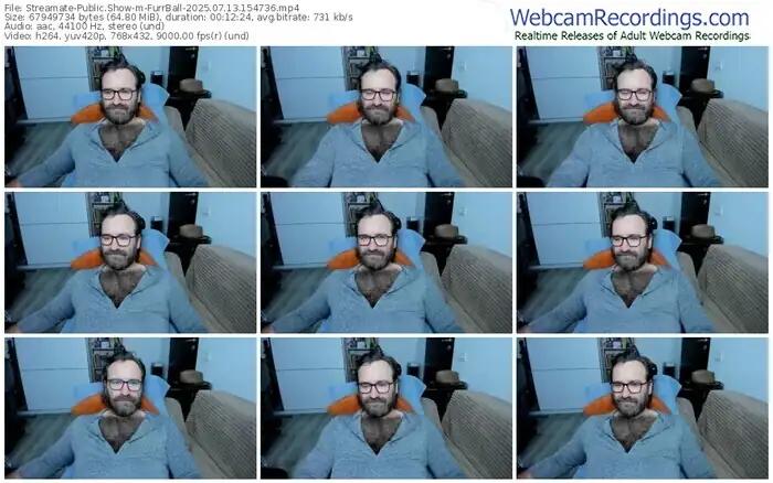 2025/07/13/streamate-furrball-15-47-36