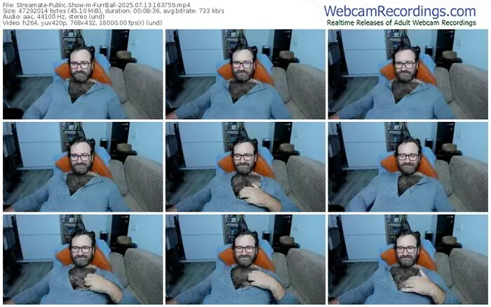2025/07/13/streamate-furrball-16-37-59