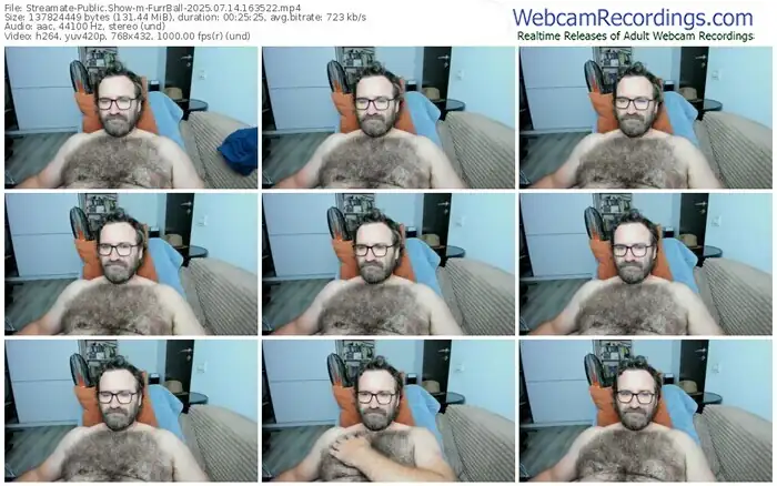 2025/07/14/streamate-furrball-16-35-22