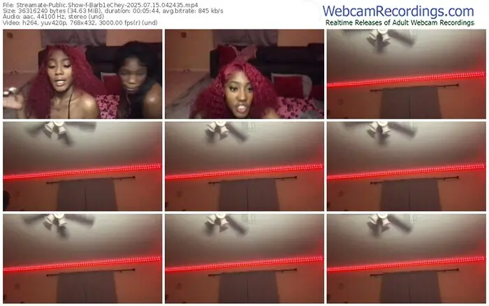 2025/07/15/streamate-barb1echey-04-24-35