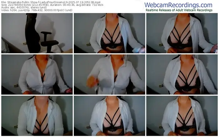 2025/07/19/streamate-ladyofyourdreams19-20-51-38