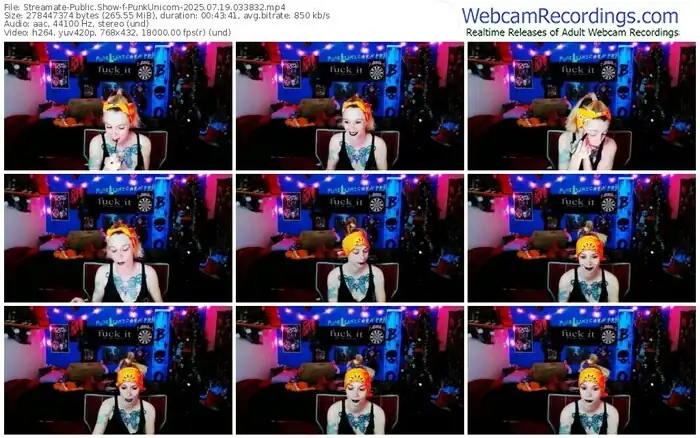 2025/07/19/streamate-punkunicorn-03-38-32