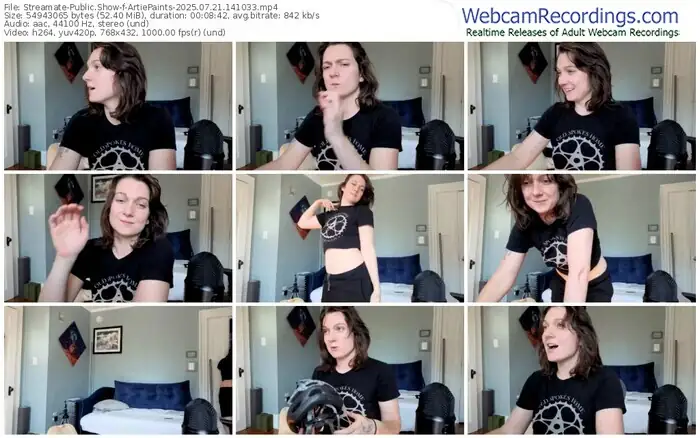 2025/07/21/streamate-artiepaints-14-10-33