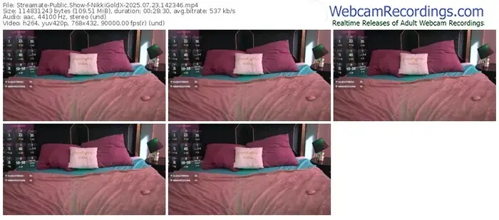 2025/07/23/streamate-nikkigoldx-14-23-46