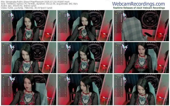 2025/07/23/streamate-pawpleasure-19-18-47