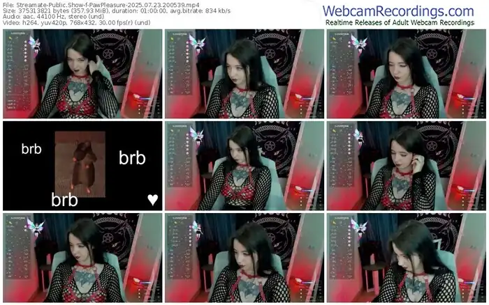2025/07/23/streamate-pawpleasure-20-05-39