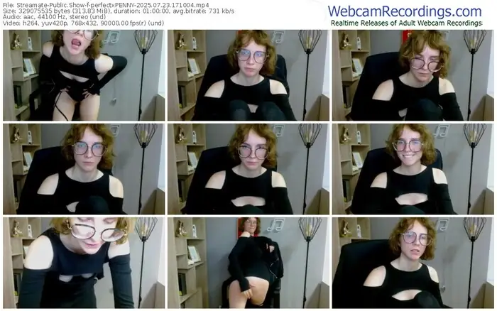 2025/07/23/streamate-perfectxpenny-17-10-04