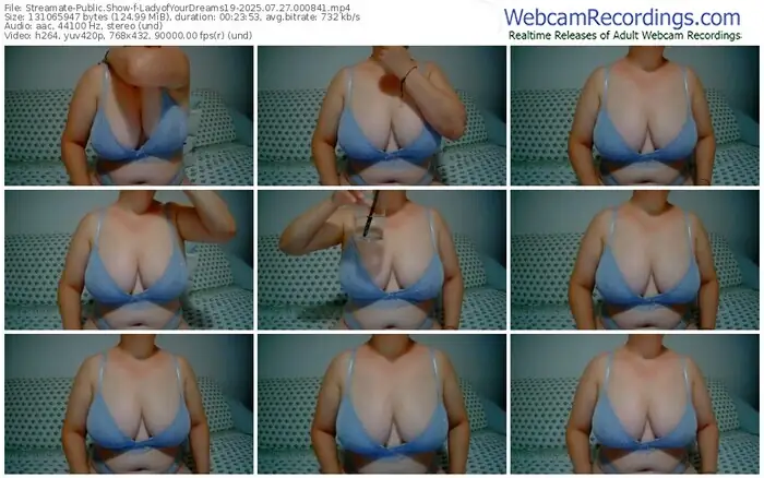2025/07/27/streamate-ladyofyourdreams19-00-08-41