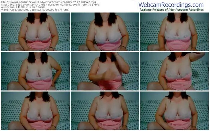 2025/07/27/streamate-ladyofyourdreams19-20-45-42