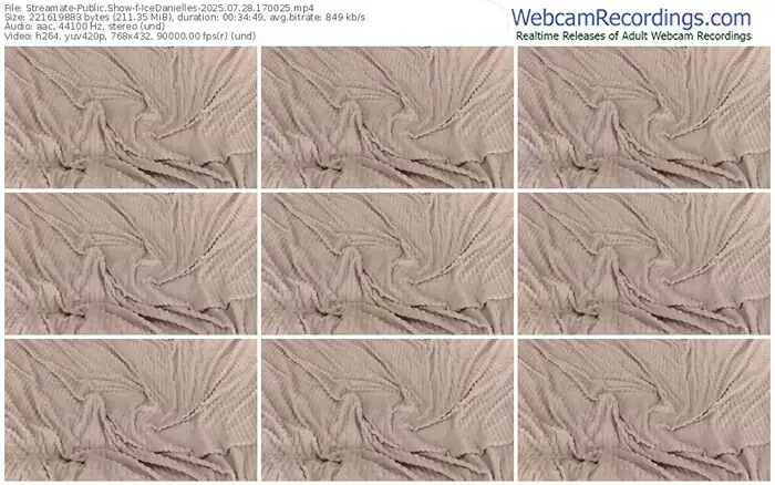 2025/07/28/streamate-icedanielles-17-00-25