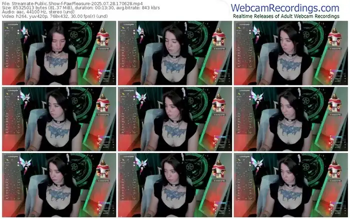2025/07/28/streamate-pawpleasure-17-06-28