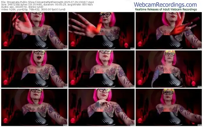 2025/07/29/streamate-amanitapantherina69-13-04-17