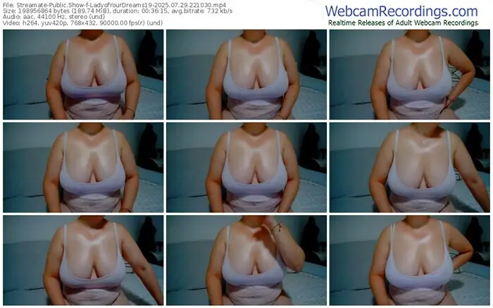2025/07/29/streamate-ladyofyourdreams19-22-10-30