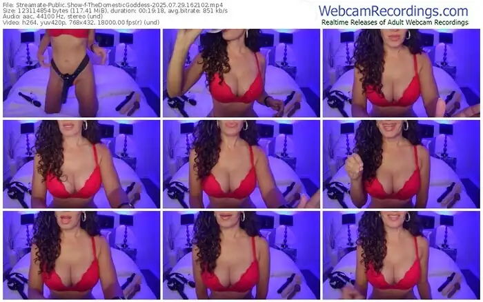 2025/07/29/streamate-thedomesticgoddess-16-21-02