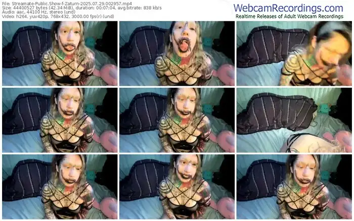 2025/07/29/streamate-zaturn-00-29-57