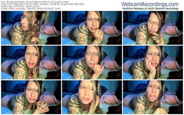 2025/07/29/streamate-zaturn-11-23-12