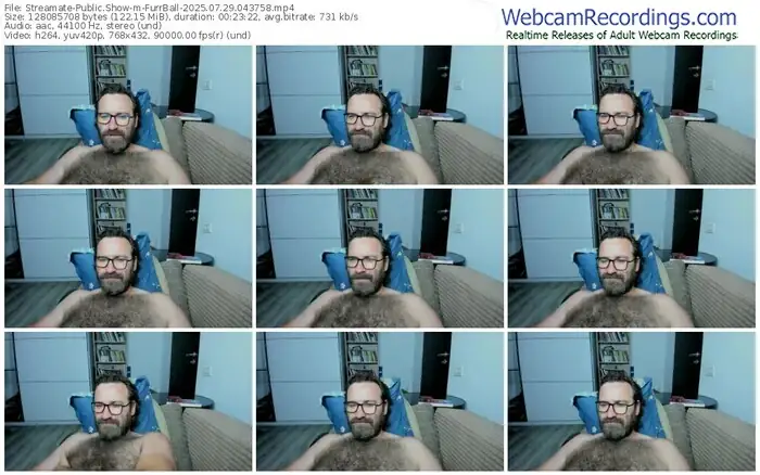 2025/07/29/streamate-furrball-04-37-58