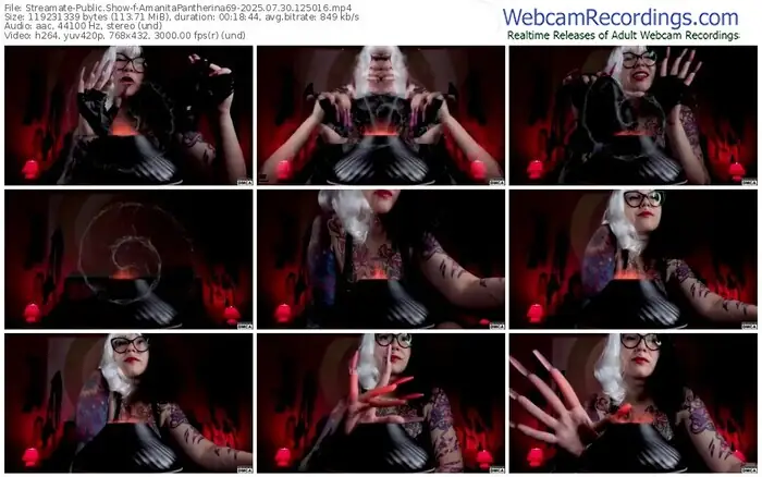 2025/07/30/streamate-amanitapantherina69-12-50-16