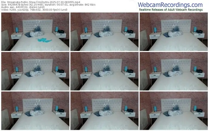 2025/07/30/streamate-holliyms-08-30-55