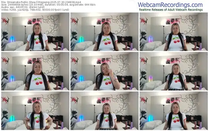 2025/07/30/streamate-megsong-23-48-38
