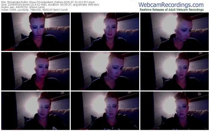 2025/07/31/streamate-disobedient_dalton-01-13-57