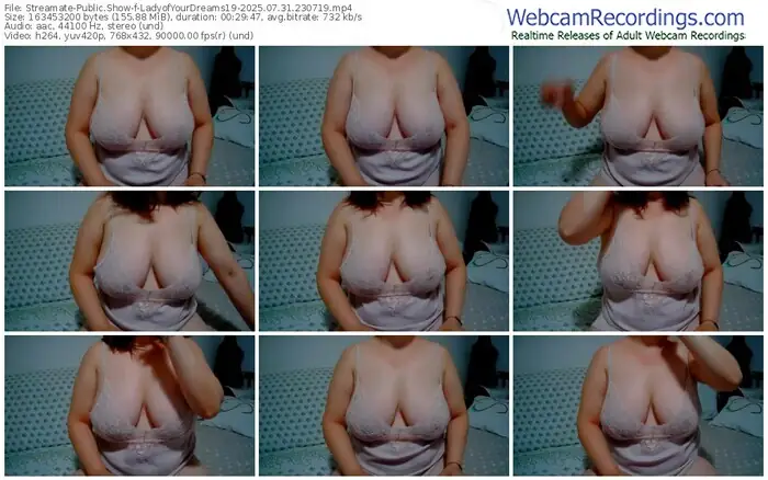 2025/07/31/streamate-ladyofyourdreams19-23-07-19
