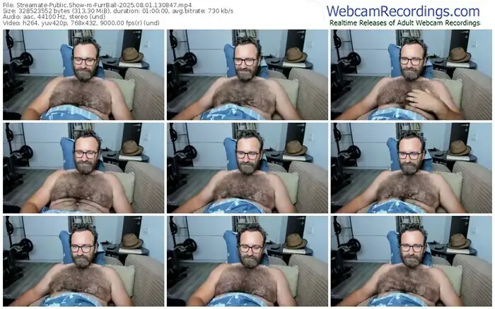 2025/08/01/streamate-furrball-13-08-47