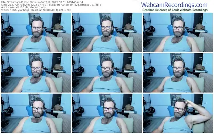 2025/08/01/streamate-furrball-16-34-45