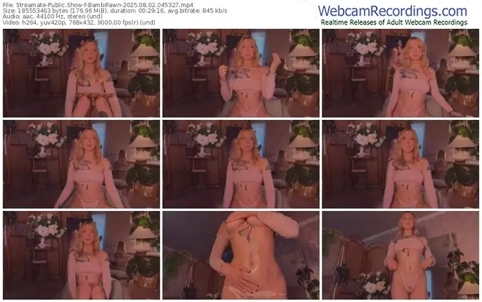 2025/08/02/streamate-bambifawn-04-53-27