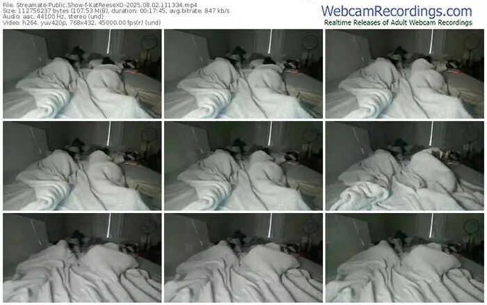 2025/08/02/streamate-katreesexo-11-13-34