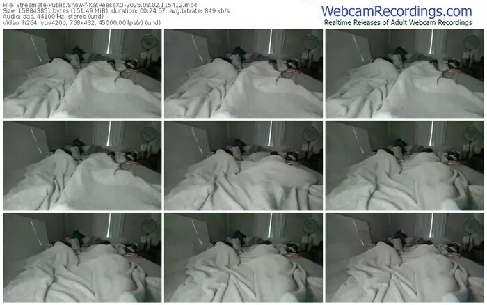 2025/08/02/streamate-katreesexo-11-54-12