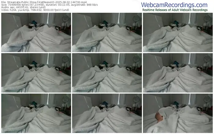 2025/08/02/streamate-katreesexo-14-47-00