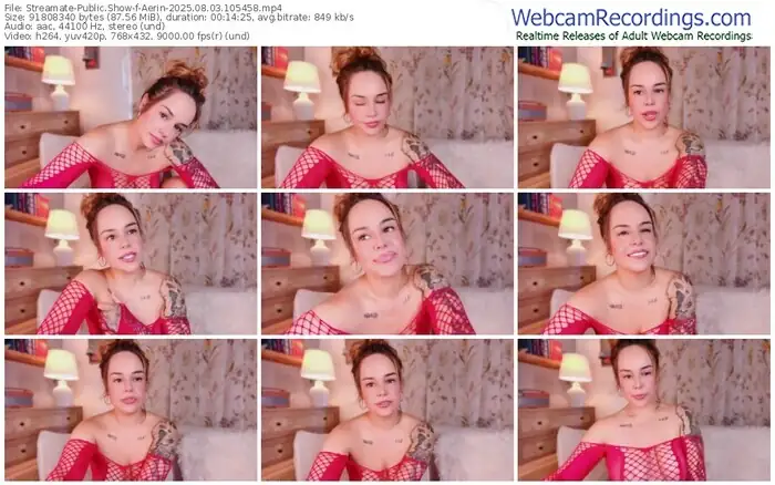 2025/08/03/streamate-aerin-10-54-58