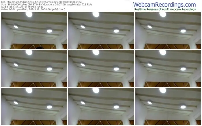 2025/08/03/streamate-sussystorm-00-30-01