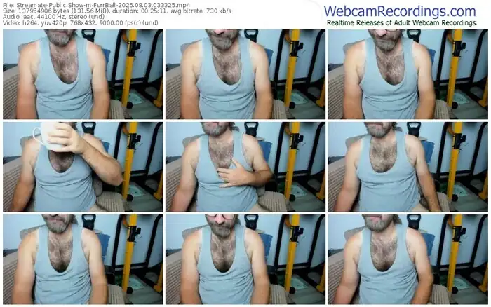 2025/08/03/streamate-furrball-03-33-25