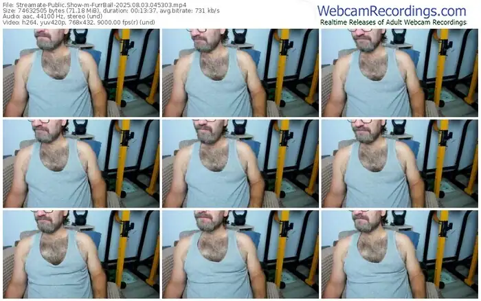 2025/08/03/streamate-furrball-04-53-03