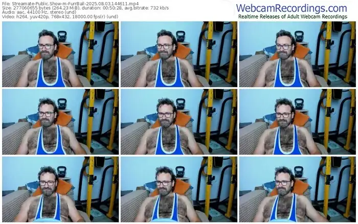 2025/08/03/streamate-furrball-14-46-11