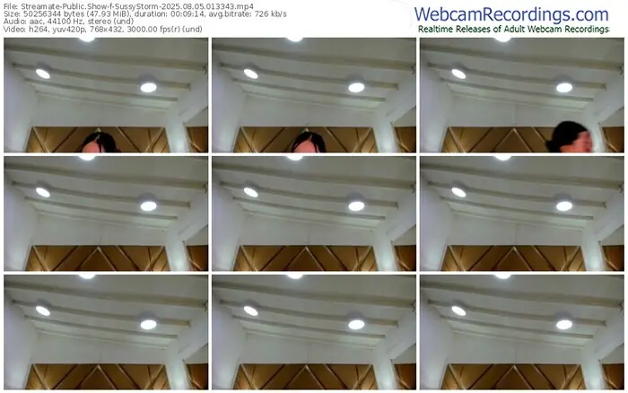 2025/08/05/streamate-sussystorm-01-33-43