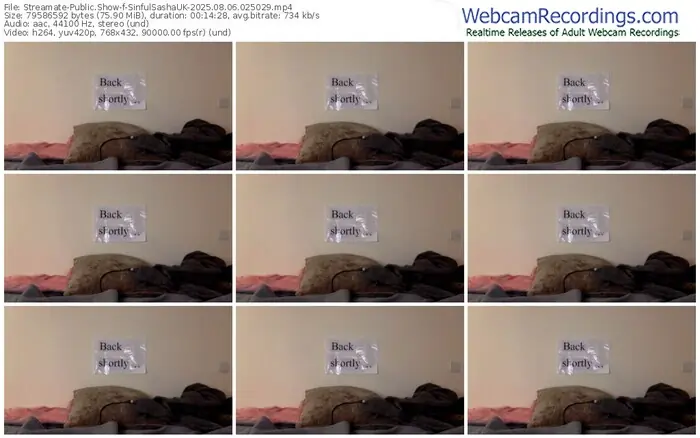 2025/08/06/streamate-sinfulsashauk-02-50-29