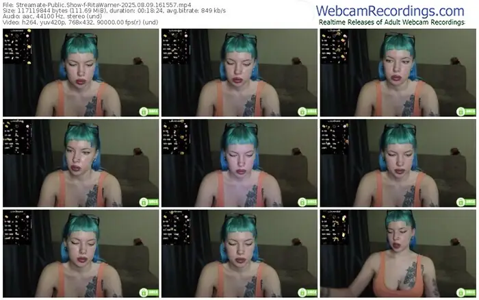 2025/08/09/streamate-ritawarner-16-15-57