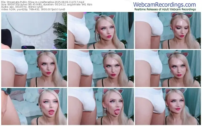2025/08/09/streamate-linaparadise-11-47-17