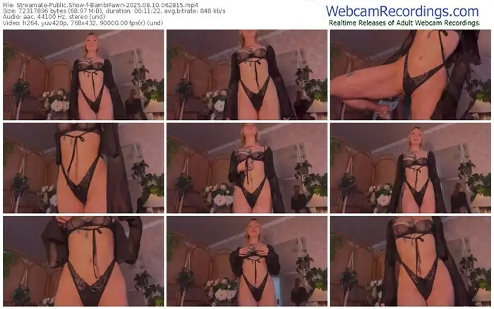 2025/08/10/streamate-bambifawn-06-28-15