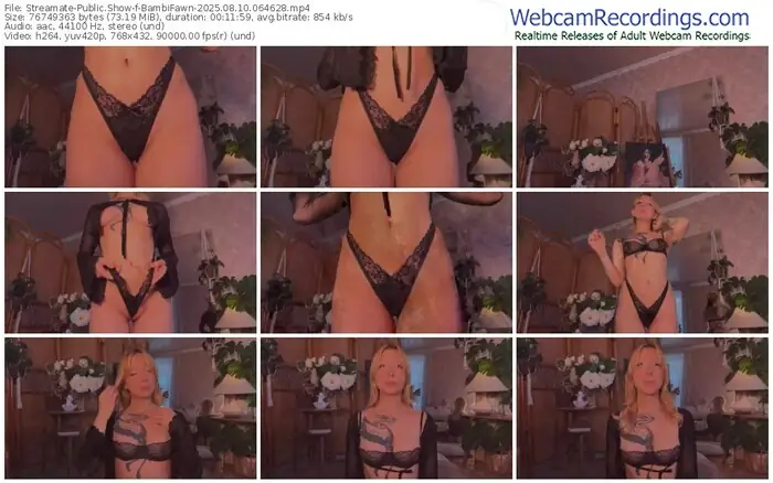 2025/08/10/streamate-bambifawn-06-46-28