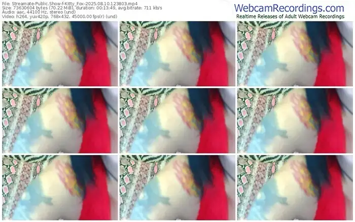 2025/08/10/streamate-kitty_fox-12-38-03