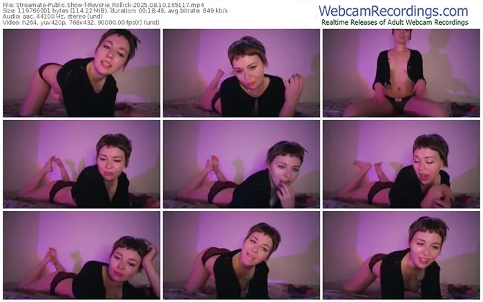 2025/08/10/streamate-reverie_rollick-16-51-17