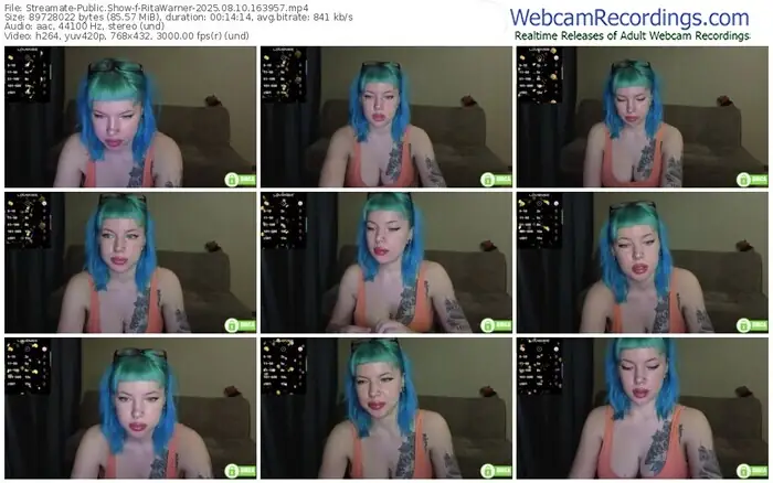 2025/08/10/streamate-ritawarner-16-39-57