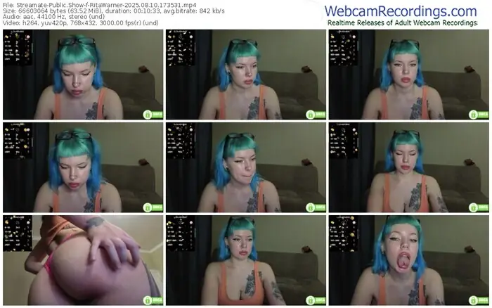 2025/08/10/streamate-ritawarner-17-35-31